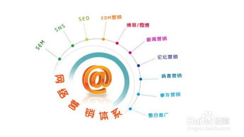 网络销售的主要方式 网络信息推广与销售策略解析