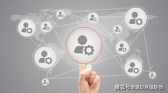 皮具行业新引擎 渠道管控系统开发与网络推广销售一体化战略