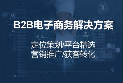 数字时代的企业增长引擎 整合网络推广与销售的营销策略
