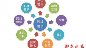 网络营销推广与信息推广销售 从策略到执行的全方位指南
